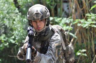 特种兵之火凤凰在线观看,热血铸就传奇，战火中的青春之歌